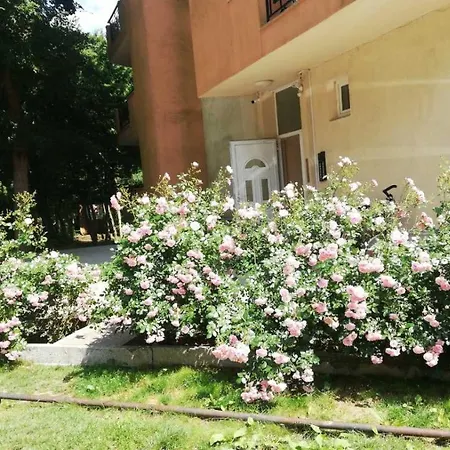 Golden Sands Apartment